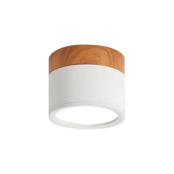 Nordic Cylinder LED Loftslamper Til Gange